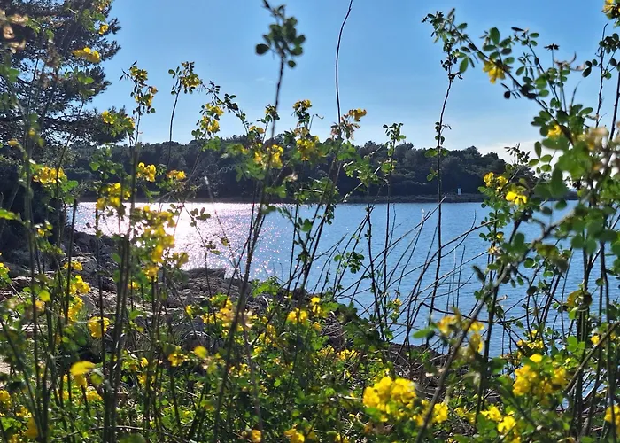 Appartement Chocolate