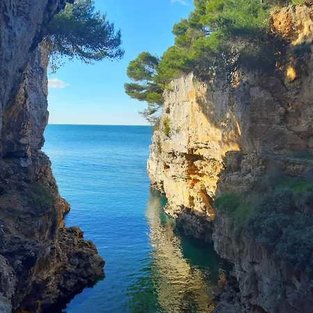 Chocolate 公寓 普拉