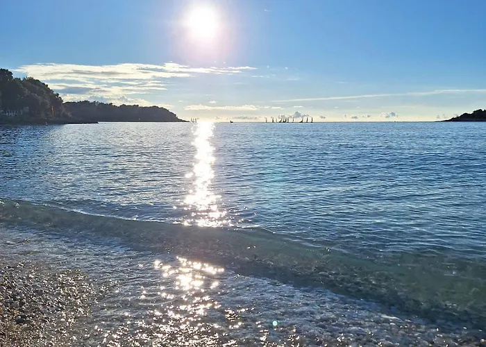 Chocolate Apartment *